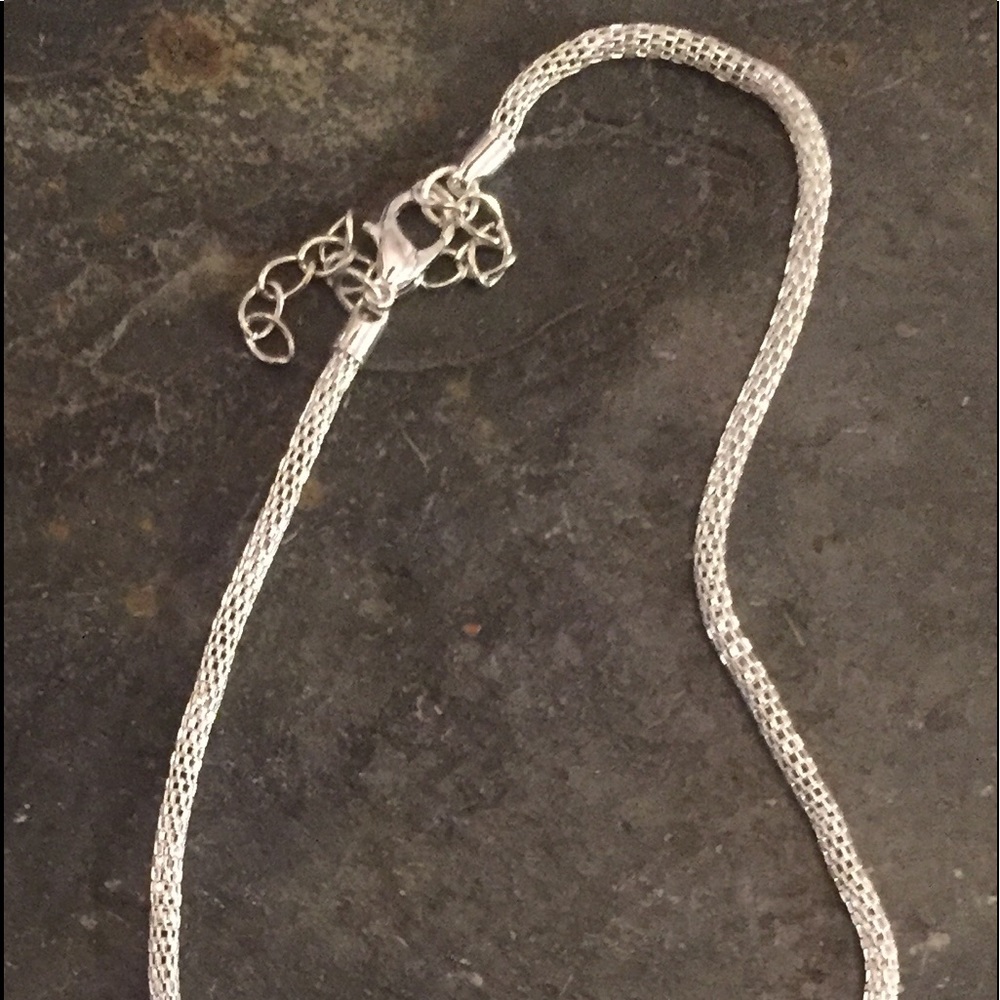 NWOT Silver Rope Chain